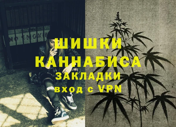 2c-b Каменка