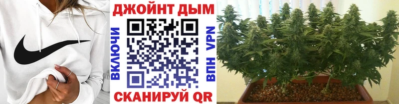 Шишки марихуана гибрид  Чишмы 